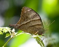 CRW_1470