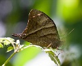 CRW_1471
