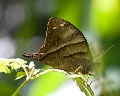 CRW_1472