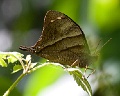 CRW_1473