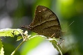 CRW_1474
