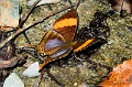 CRW_1968