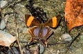 CRW_1969