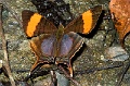 CRW_1970