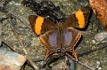 CRW_1973