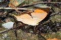CRW_1974