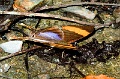CRW_1975