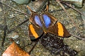 CRW_1976
