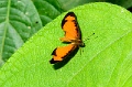 CRW_2058