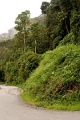CRW_2282