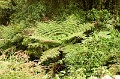 CRW_2286
