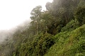 CRW_2292