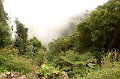 CRW_2293