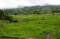 CRW_2295