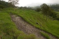 CRW_2298