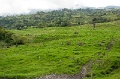 CRW_2299