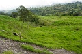 CRW_2300