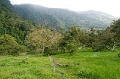 CRW_2305