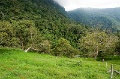 CRW_2306