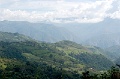 CRW_2310