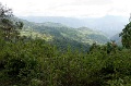 CRW_2311