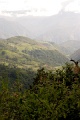 CRW_2313