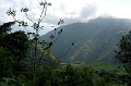 CRW_2319