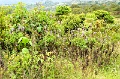 CRW_2320