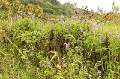 CRW_2322