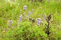 CRW_2324
