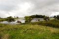 CRW_2326