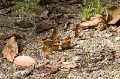 CRW_2564