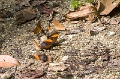 CRW_2565