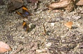 CRW_2566