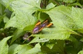 CRW_2569