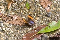 CRW_2573