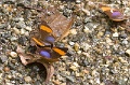 CRW_2574