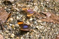 CRW_2576