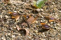 CRW_2580