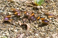 CRW_2581