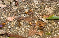 CRW_2585