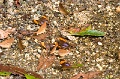CRW_2587