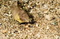 CRW_2589