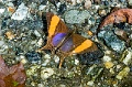 CRW_2593
