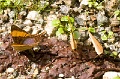 CRW_2598