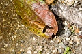 CRW_2599