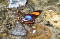 CRW_2626