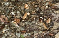 CRW_2667