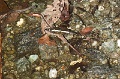 CRW_2669