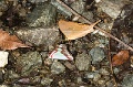 CRW_2674